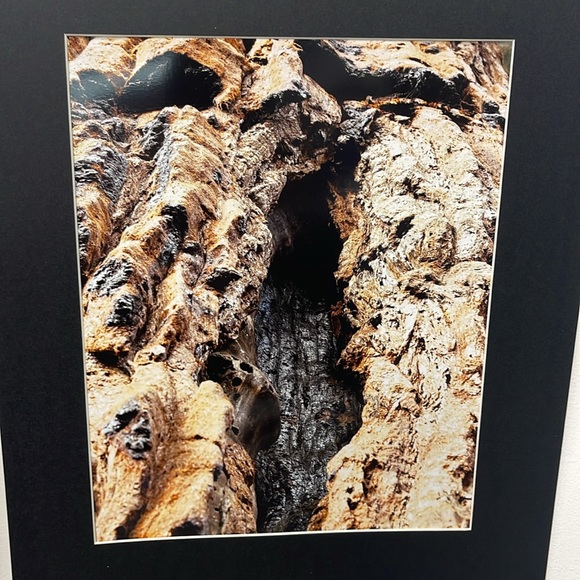 Deep in California - Picture 2 of 2